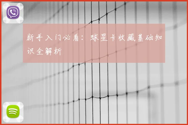 新手入门必看:球星卡收藏基础知识全解析